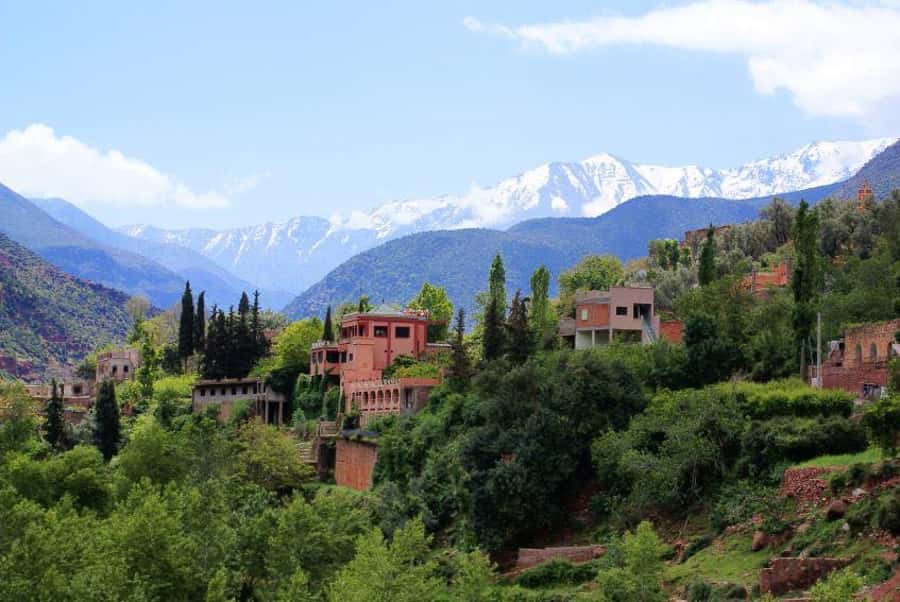 From Marrakech: Ourika Valley & Atlas Mountains Waterfalls - Meeting a Berber Family in the Mountains