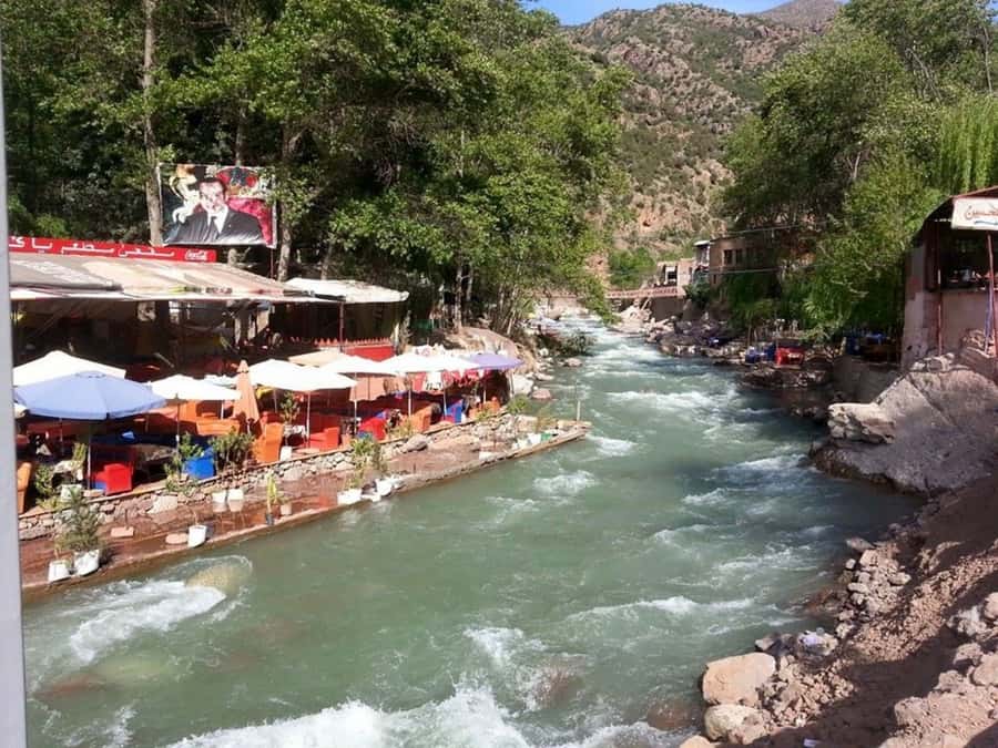 From Marrakech: Ourika Valley & Atlas Mountains Waterfalls - Transport, Guides, and Group Size