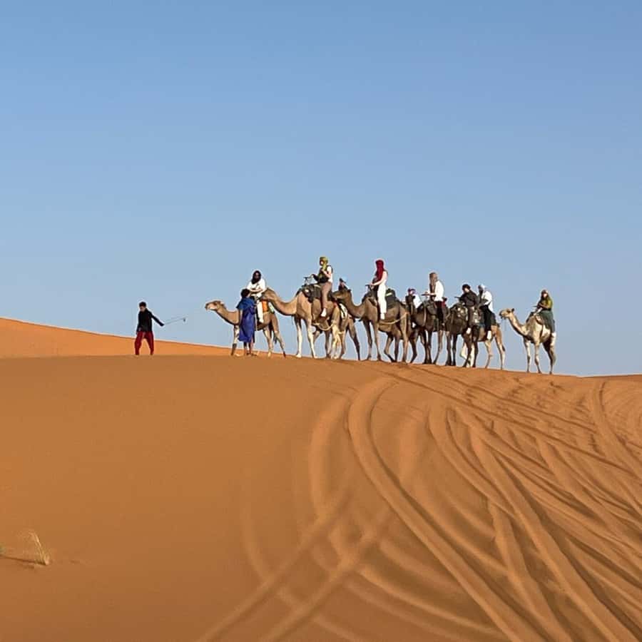 From Marrakech: Ourika Valley & Waterfalls with Lunch - Key points to know before booking