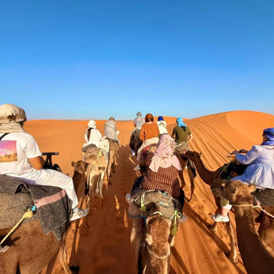From Marrakech: Ourika Valley & Waterfalls with Lunch - Should you book the Ourika Valley tour?