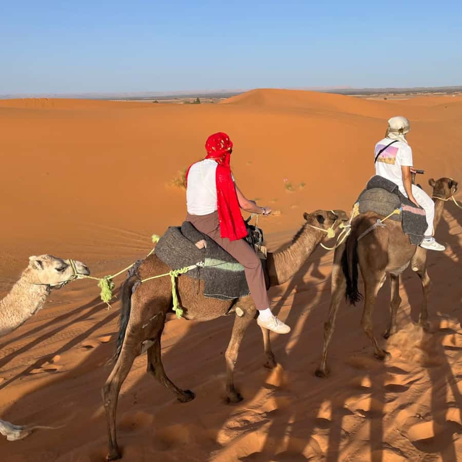 From Marrakech: Ourika Valley & Waterfalls with Lunch - Transport, guides, and the real value of the price