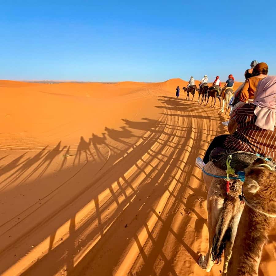 From Marrakech: Ourika Valley & Waterfalls with Lunch - Who will enjoy this day trip most