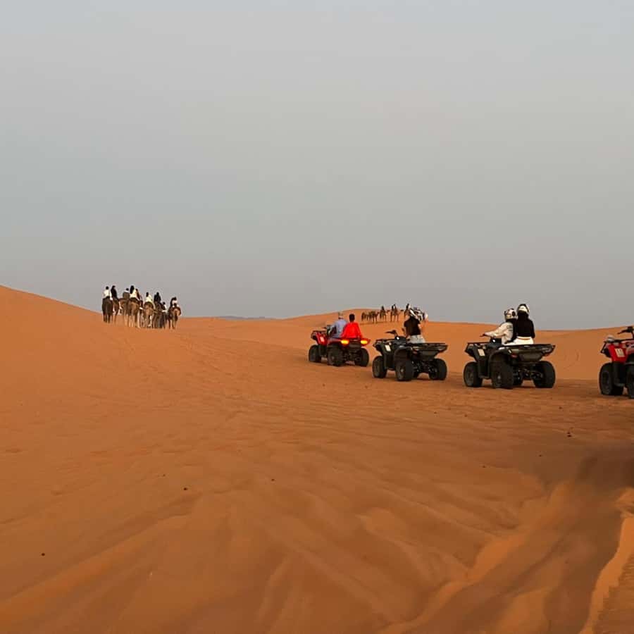 From Marrakech: Ourika Valley & Waterfalls with Lunch - Booking checks that can prevent trouble