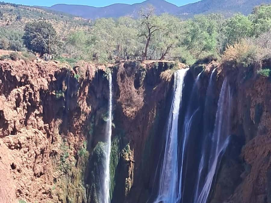 From Marrakech:Ouzoud Waterfalls Day Trip with Boat Tour - Who Should Book This Day Trip?