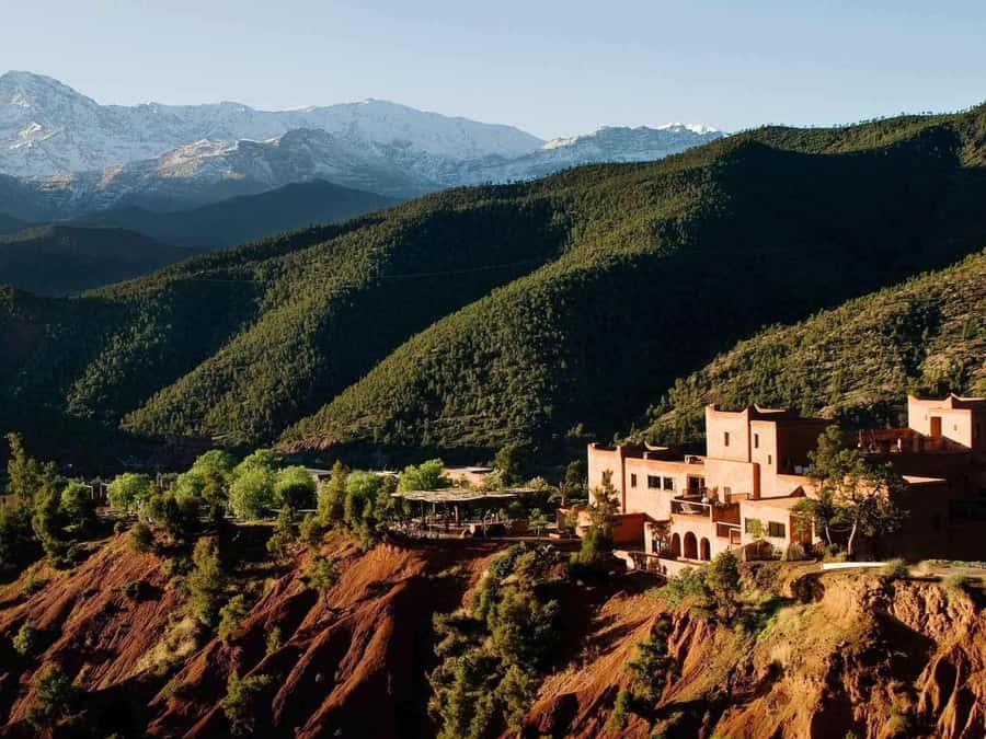 From Marrakech: Ouzoud Waterfalls Full-Day Private Trip - Lunch at a Berber restaurant