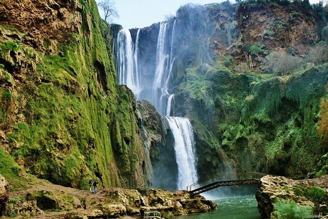 From Marrakech: Ouzoud Waterfalls Guided Hike and Boat Trip - The argan oil cooperative and Amazigh culture