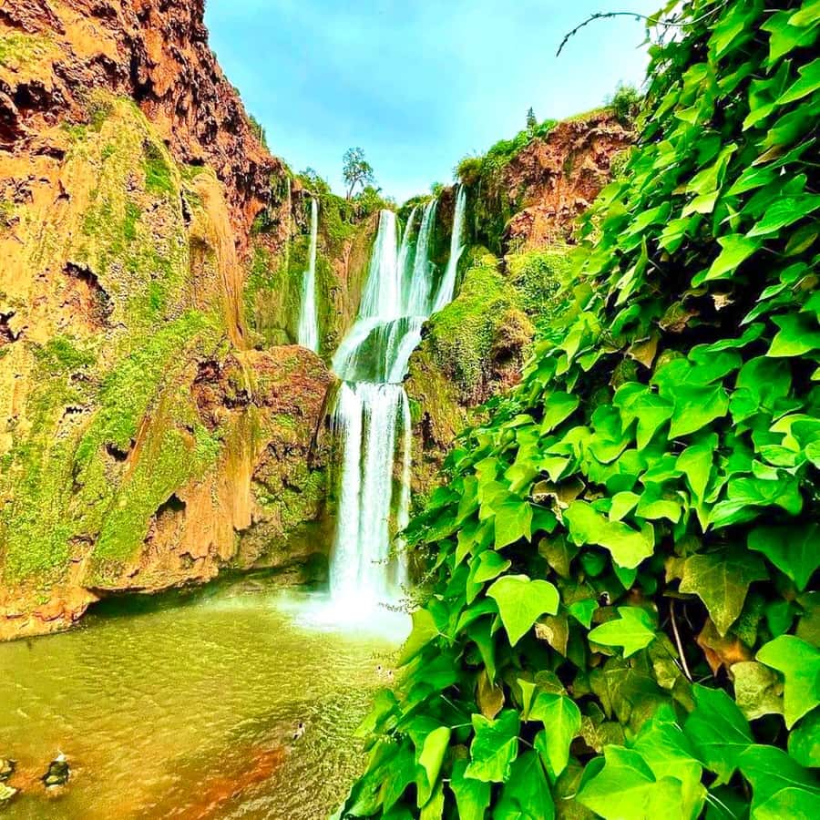 From Marrakech: Ouzoud Waterfalls Guided hike & boat Ride - Wildlife, local culture, and the busy side of Ouzoud
