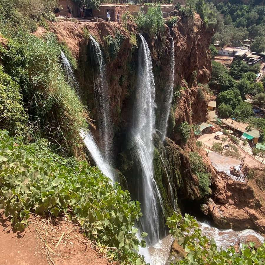 From Marrakech: Ouzoud Waterfalls Guided Tour and Boat Ride - Guides, languages, and how much help you need