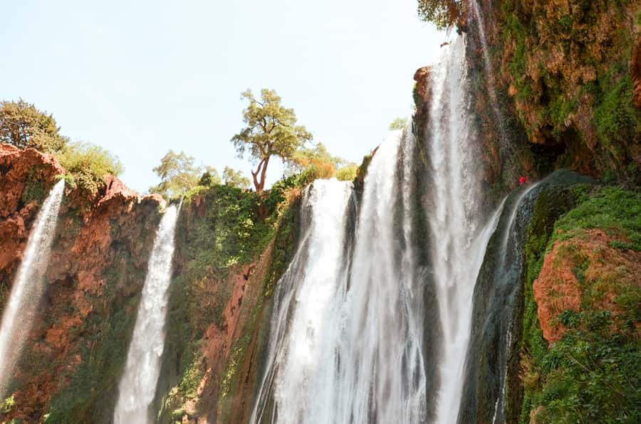 From Marrakech: Ouzoud Waterfalls Guided Tour & Boat Ride - Barbary macaques, olive trees, and local wildlife
