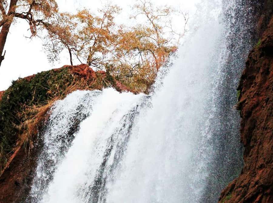 From Marrakech: Private Ouzoud Falls & Boat Ride Day Trip - The Return to Marrakech and the Time Question