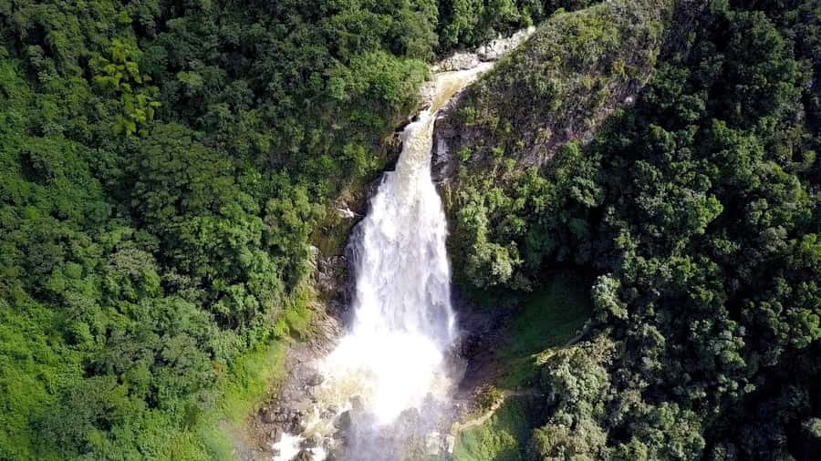 From Medellín: Dream Hammocks, Zipline, & Waterfall Day Trip - Who will enjoy this day most?