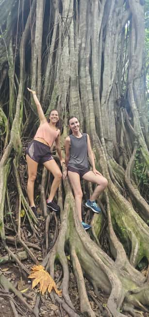 From Montego Bay: Blue Hole Waterfall Experience - The quieter side of the river