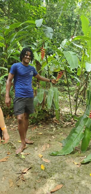 From Montego Bay: Blue Hole Waterfall Experience - The role of the guides and local connection