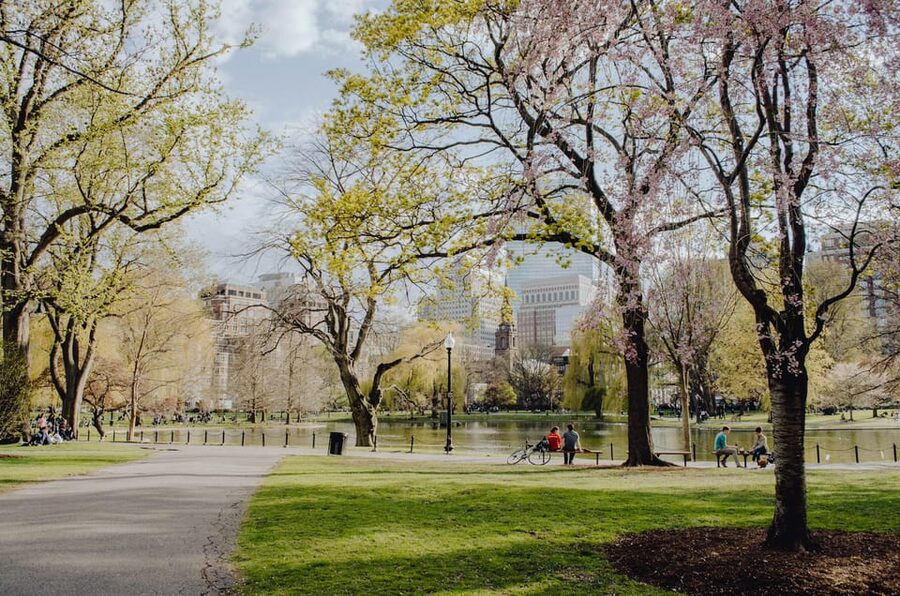 From New York: Niagara Falls and Washington DC 3-Day Trip - Should you book it?