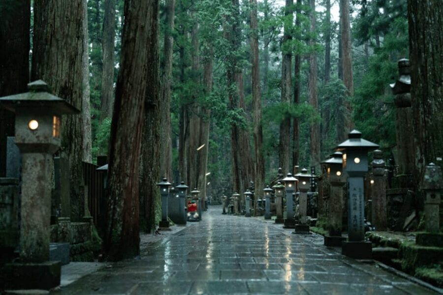 From Osaka/Kyoto:Mount Koya, Wakayama & Nachi Waterfall Trip - A Very Long Day From Osaka, Kyoto, or Nara