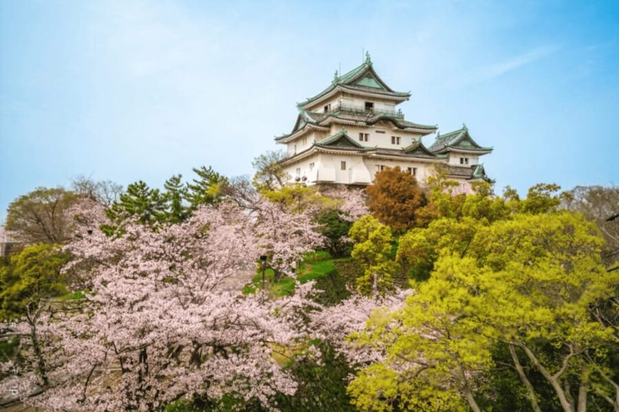From Osaka/Kyoto:Mount Koya, Wakayama & Nachi Waterfall Trip - Is $910 Good Value for Your Group?
