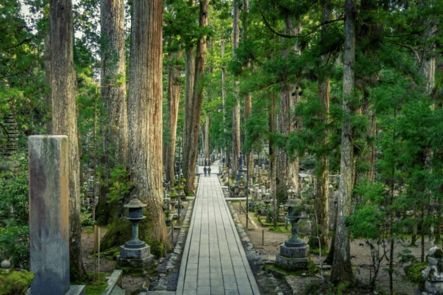 From Osaka/Kyoto:Mount Koya, Wakayama & Nachi Waterfall Trip - Nachi Waterfall, Shrine Steps, and Forest Views