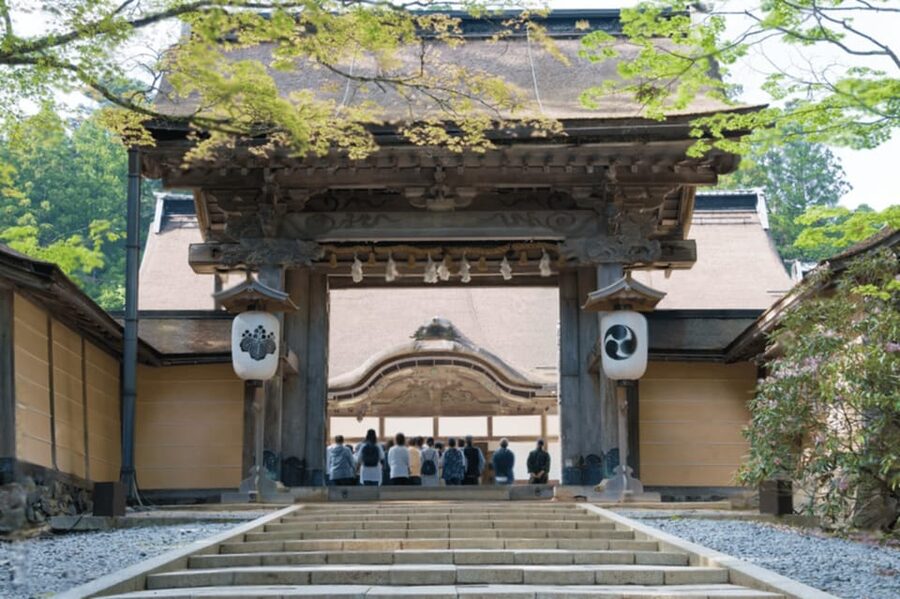 From Osaka/Kyoto:Mount Koya, Wakayama & Nachi Waterfall Trip - The Human Side of the Guide Service