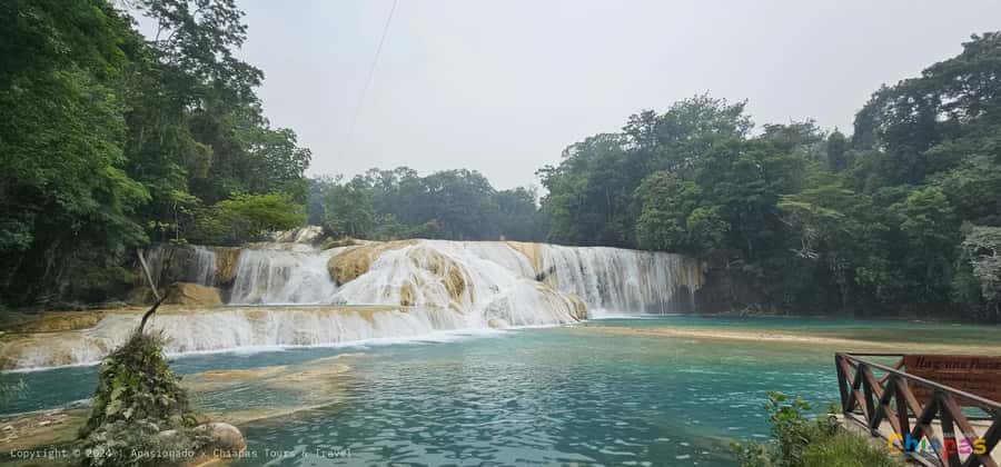 From Palenque: Misol-Ha & Agua Azul Waterfalls Day Tour - Agua Azul: the main event for blue water and free time