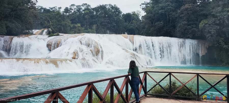 From Palenque: Misol-Ha & Agua Azul Waterfalls Day Tour - Is $46 a fair price?