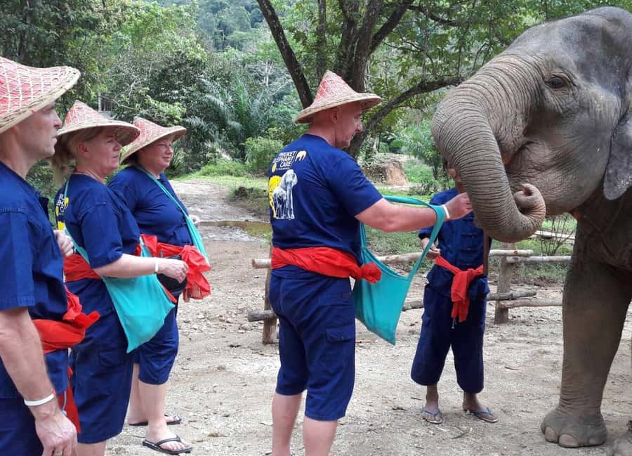 From Phuket & Khao Lak: Elephant Care with Waterfall Visit - Why this elephant experience feels different