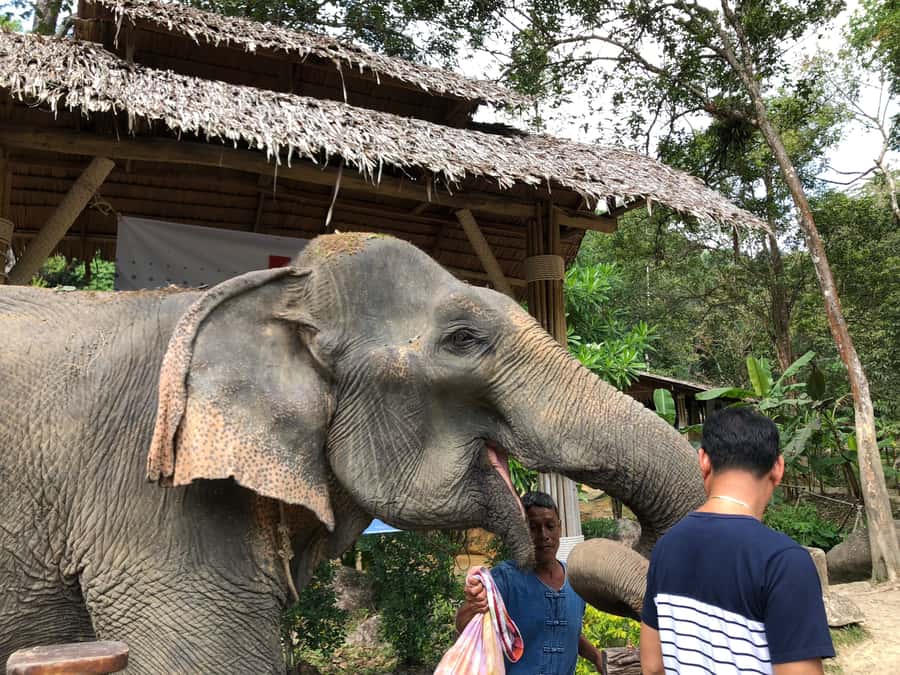 From Phuket & Khao Lak: Elephant Care with Waterfall Visit - Changing into a mahout uniform