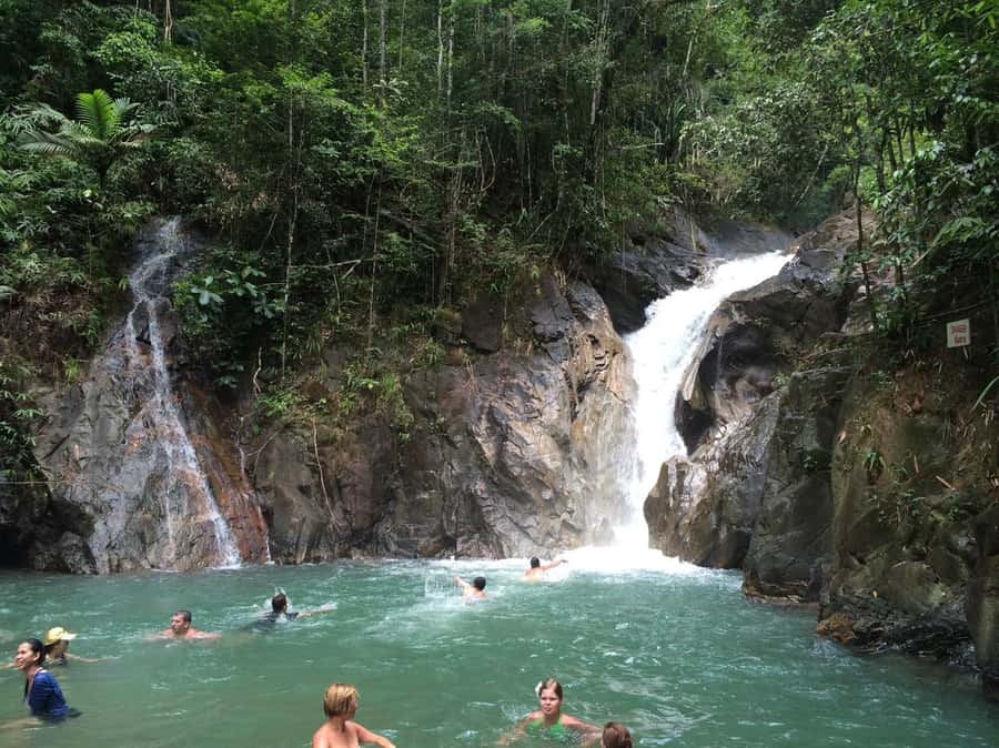From Phuket & Khao Lak: Elephant Care with Waterfall Visit - Preparing bananas and sugar cane