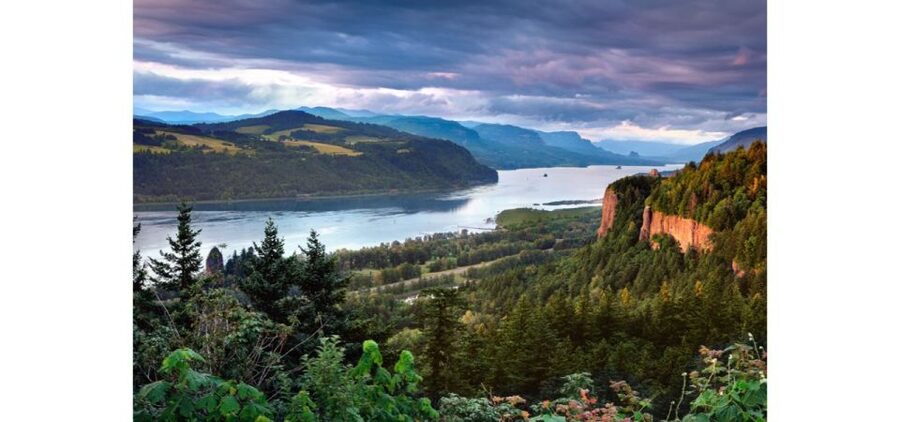 From Portland: Columbia Gorge Waterfalls and Mt. Hood Tour - Walking, weather, and practical limits