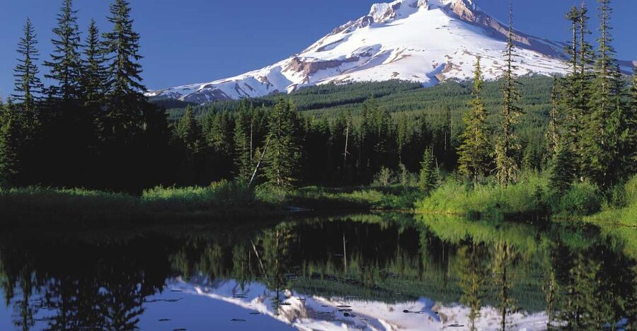 From Portland: Columbia Gorge Waterfalls and Mt. Hood Tour - Latourell Falls and a short forest walk