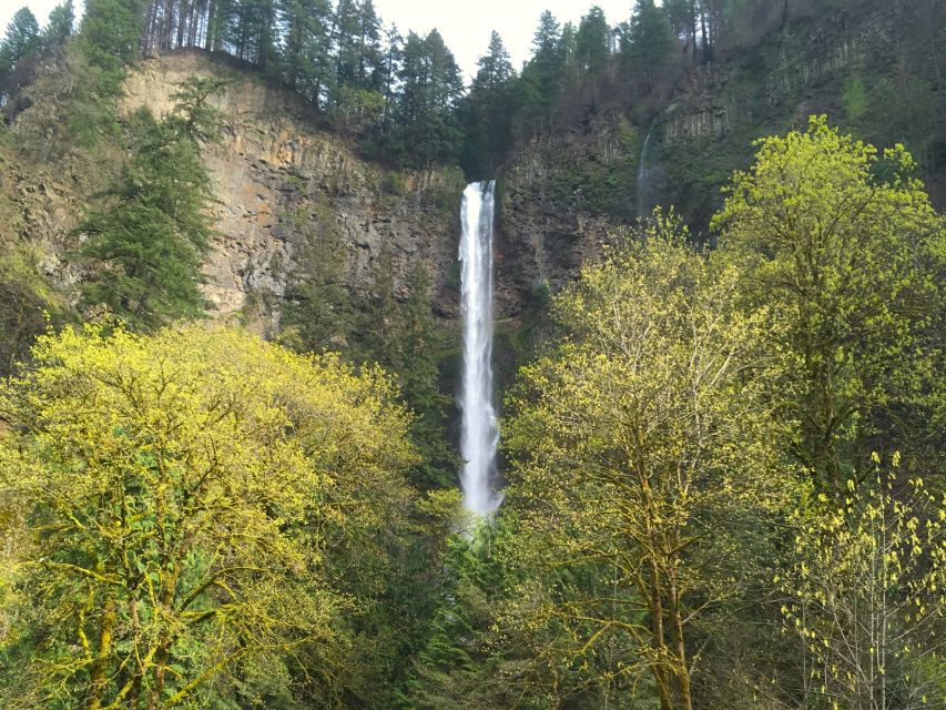 From Portland: Columbia Gorge Waterfalls Tour - Why the Columbia Gorge is worth your half-day