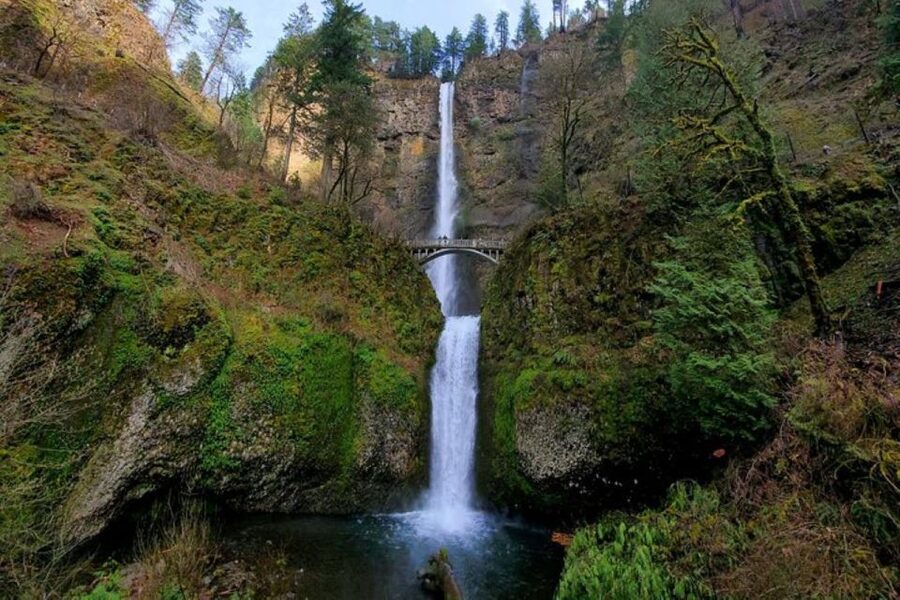 From Portland: Half-Day Columbia River Gorge Waterfalls Tour - Why the Columbia River Gorge works so well in four and a half hours