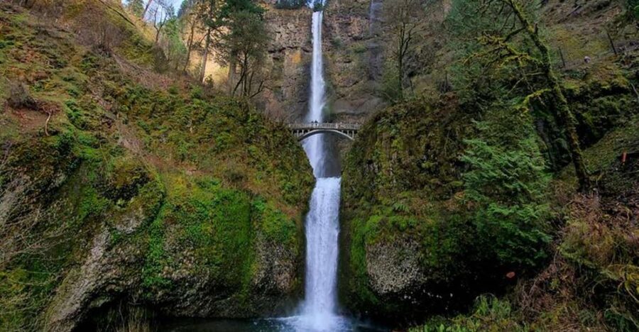 From Portland: Half-Day Columbia River Gorge Waterfalls Tour - Who should book this waterfall tour?
