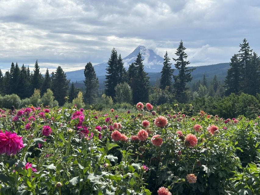 From Portland: Waterfalls, Mt Hood, and Wine Day Tour - Who should book this tour?