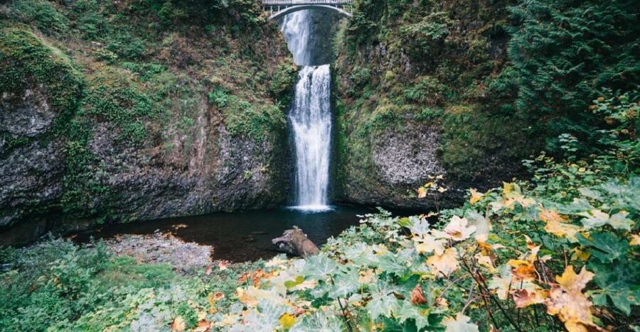 From Portland: Waterfalls, Mt Hood, and Wine Day Tour - Starting in downtown Portland