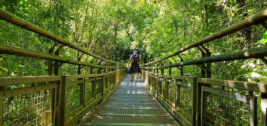 From Puerto Iguazu: Argentinian Iguazu Falls with Boat Ride - Is $197 good value?