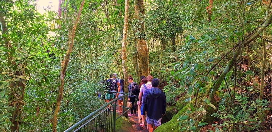 From Puerto Iguazu: Brazilian Falls with Boat Adventure - Brazilian waterfalls and the Devil’s Throat viewpoint