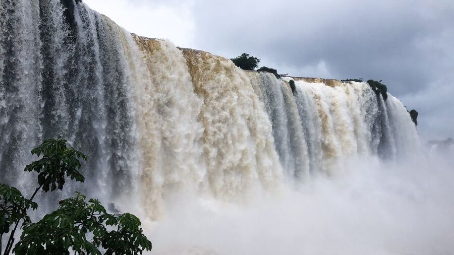 From Puerto Iguazu: Half-Day Brazilian Falls Excursion - Jungle trails, birds, and humid weather