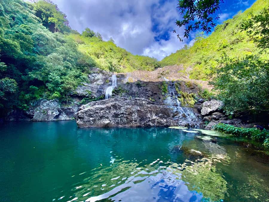From Quatre Cocos: Tamarind Falls Hiking Day Trip - Why Tamarind Falls feels different from a standard sightseeing stop