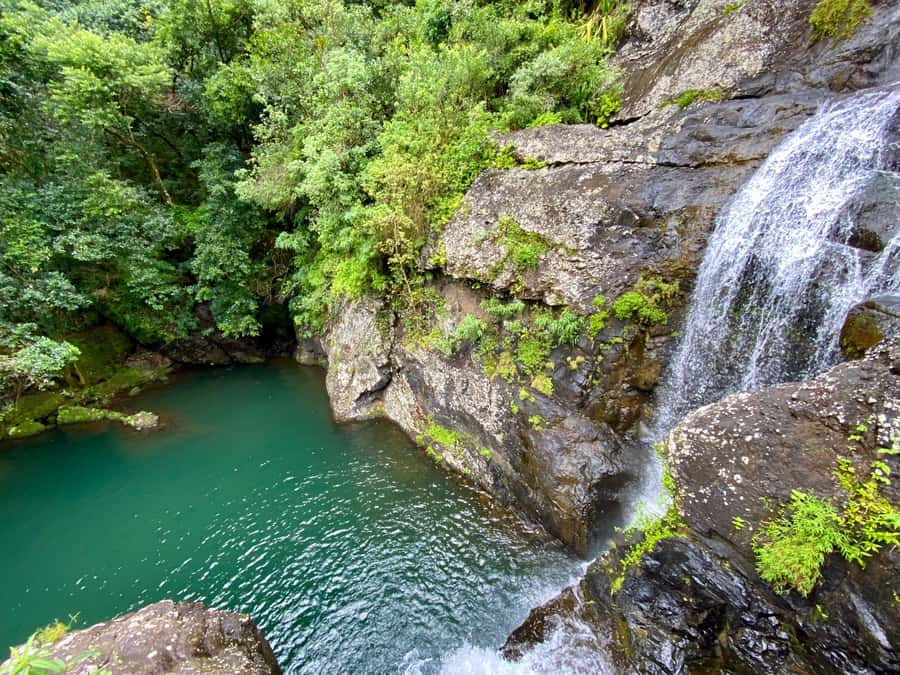 From Quatre Cocos: Tamarind Falls Hiking Day Trip - Walking through the forest beside the Rivière Tamarin