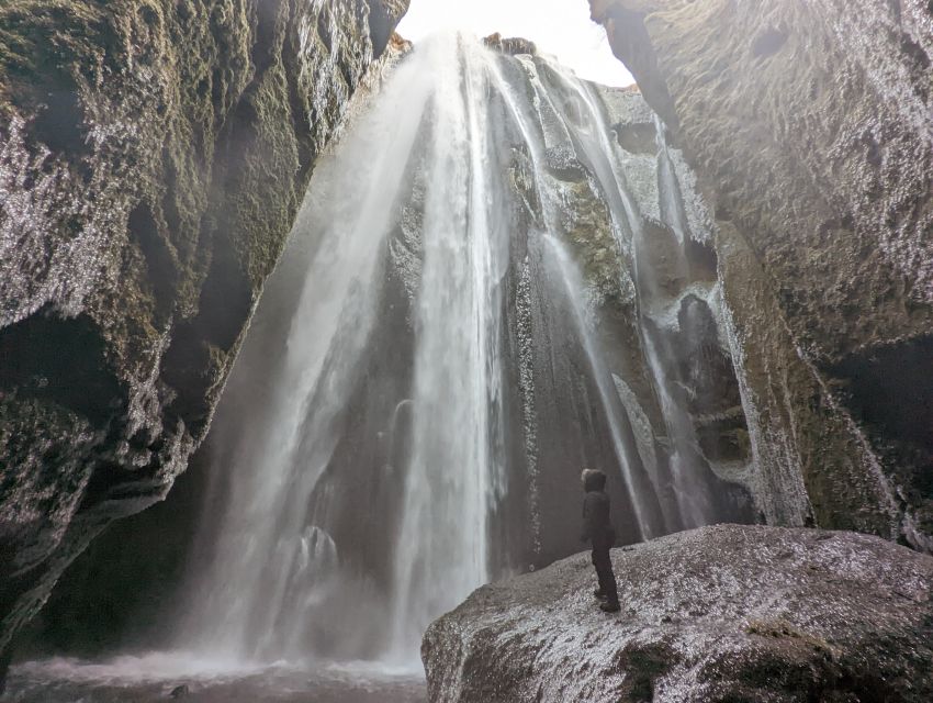 From Reykjavik: Explore the Waterfalls of the South Coast - Thorstein’s Grove: a quieter first stop