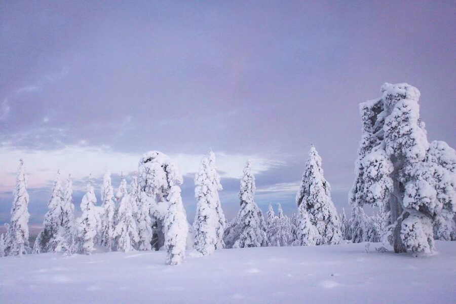 From Rovaniemi: Korouoma Canyon and Frozen Waterfalls Tour - Hiking the canyon’s 5-kilometer route