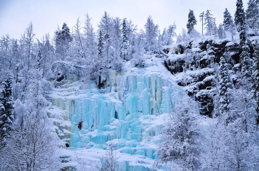 From Rovaniemi: Korouoma Canyon and Frozen Waterfalls Tour - Frozen waterfalls and Arctic forest details