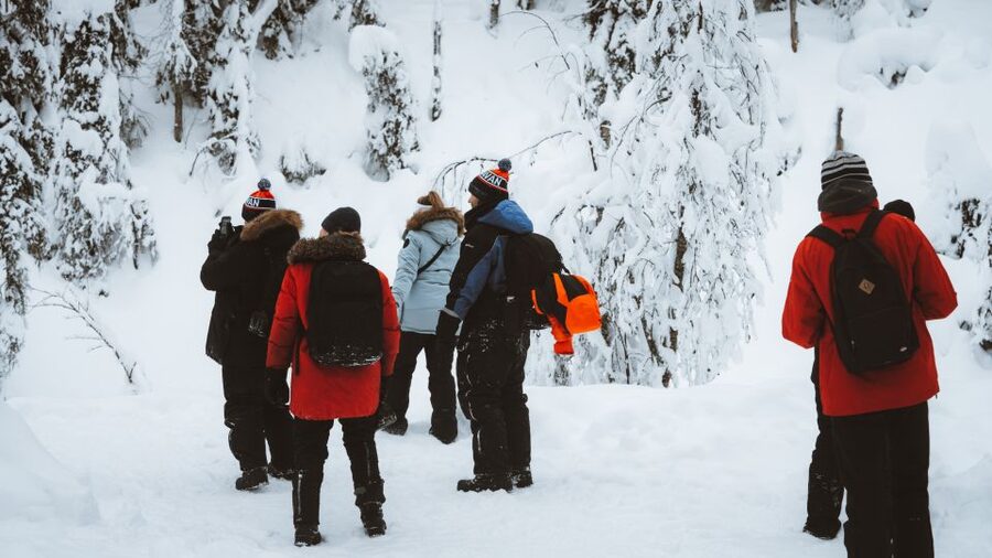 From Rovaniemi: Korouoma Canyon and Frozen Waterfalls Tour - Campfire food in the snow