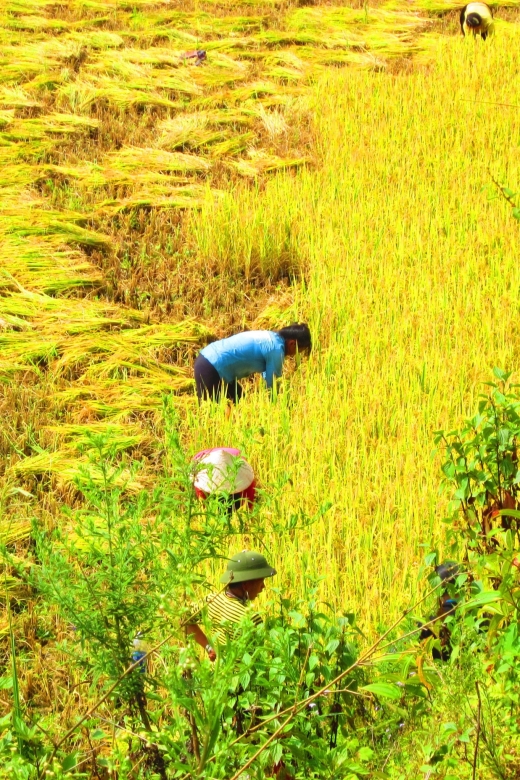 From Sapa: Waterfalls, Trekking and Tribal Villages Tour - Leaving Sapa for Silver Waterfall and Love Waterfall