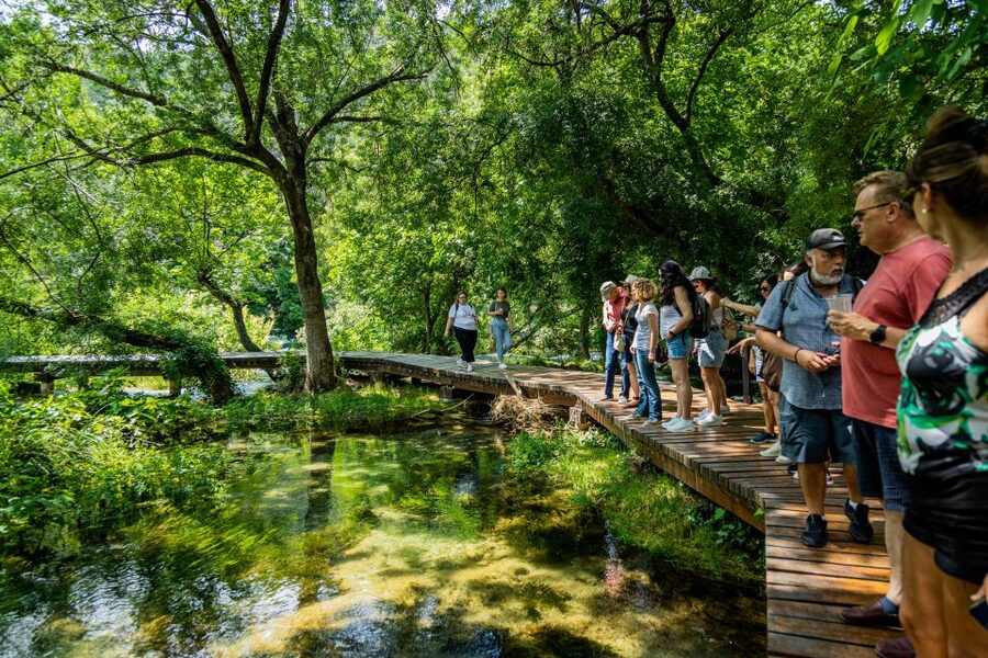 From Split: Krka Waterfalls Cruise & Trogir Walking Tour - The 30-minute boat trip through the Krka canyon