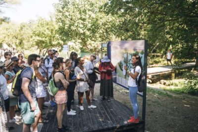 Krka Waterfalls Tour with Boat Cruise & Swimming