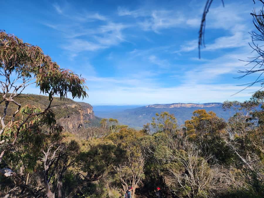 From Sydney: Blue Mountains Tour with Waterfall Walk & Lunch - Wentworth Falls: the best part of the day