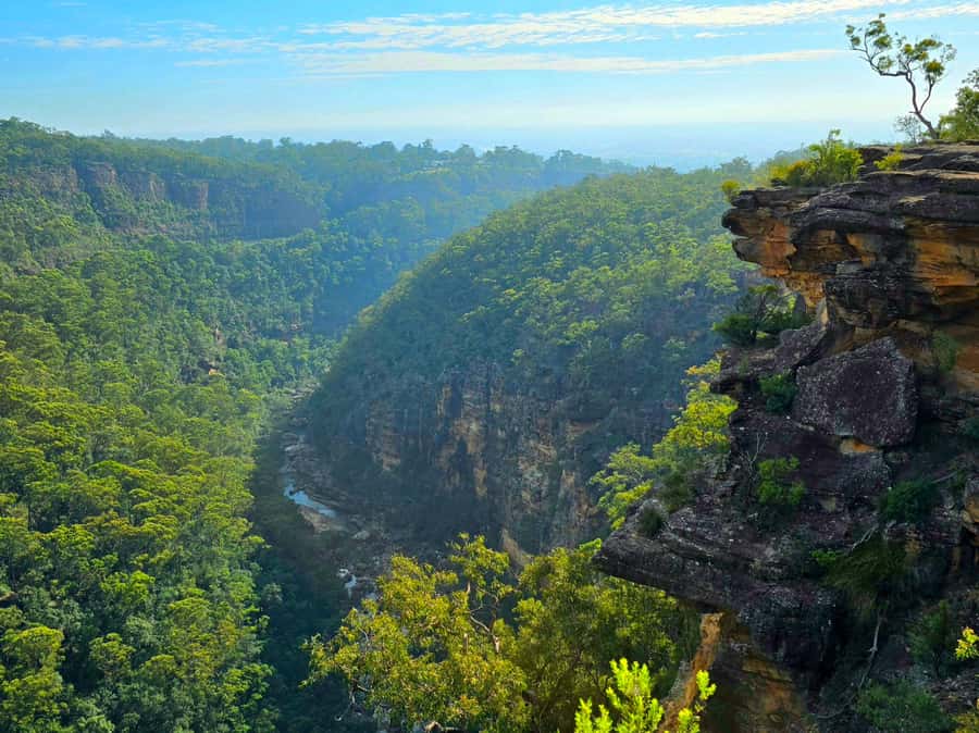 From Sydney: Blue Mountains Tour with Waterfall Walk & Lunch - Lunch after the climb