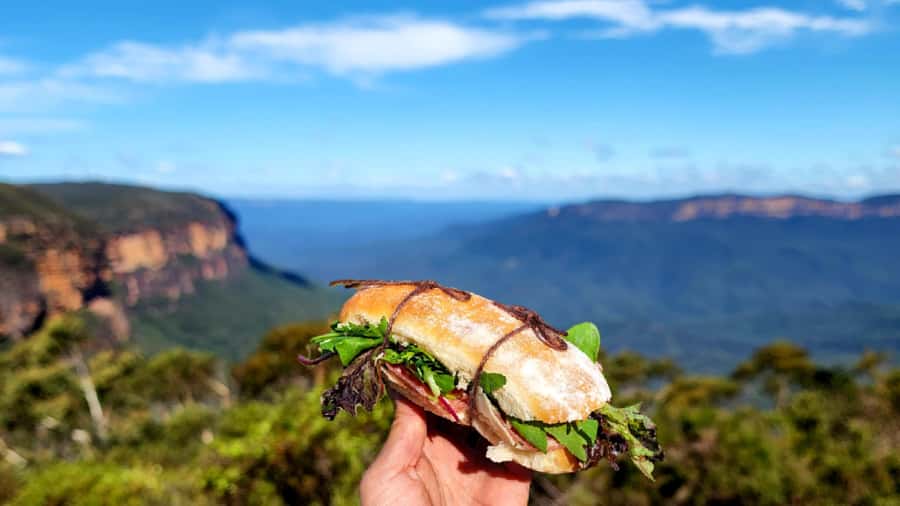 From Sydney: Blue Mountains Tour with Waterfall Walk & Lunch - Lookouts, Katoomba, and the Three Sisters