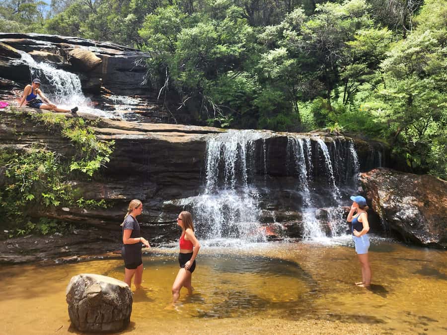 From Sydney: Blue Mountains Tour with Waterfall Walk & Lunch - What the guides add